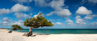 Eagle Beach, Aruba.  This print must be custom ordered and framed due to odd size.  Please contact me.